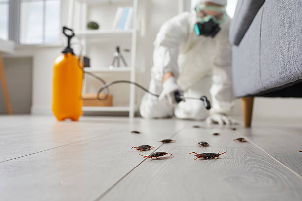 Trusted Fumigation Services service in Central City, KY - Nex Pest Control