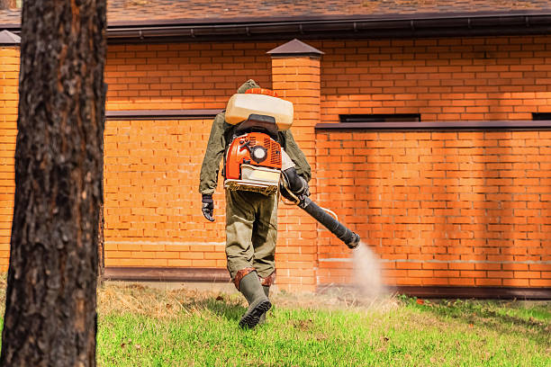 Trusted Termite Control service in Central City, KY - Nex Pest Control